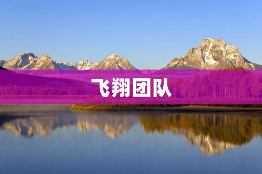 飞翔团队：让未来更美好的科技创新