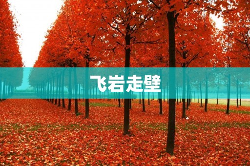 飞岩走壁:挑战极限的壁虎式攀爬技术 飞岩走壁:挑战极限的壁虎式攀爬技术