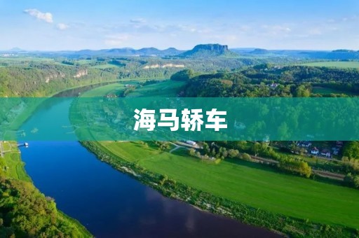 海马轿车：中国汽车品牌的新生代力量