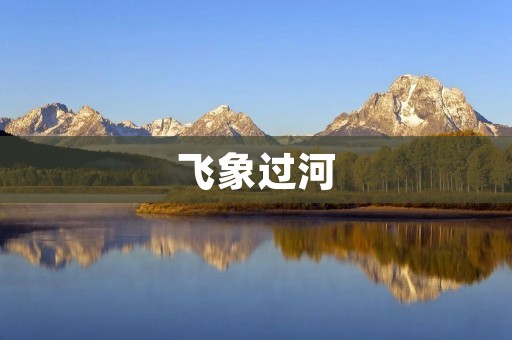 飞象过河：探秘古老智慧的奥秘