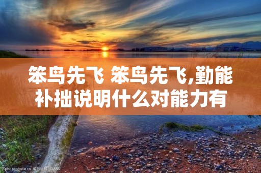 笨鸟先飞 笨鸟先飞,勤能补拙说明什么对能力有影响