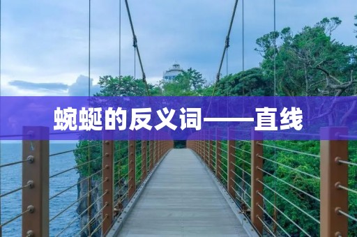 蜿蜒的反义词——直线