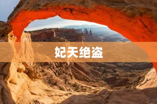 妃天绝盗：一场惊心动魄的盗宝风波