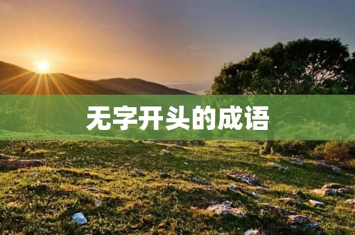 无字开头的成语