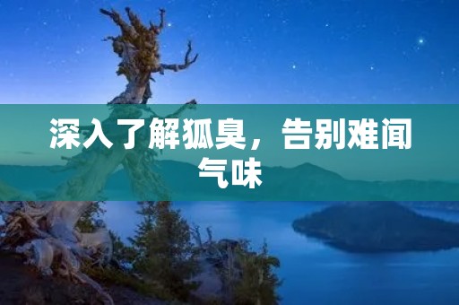 深入了解狐臭，告别难闻气味