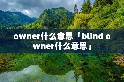 owner什么意思「blind owner什么意思」 owner什么意思「blind owner什么意思」