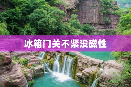 冰箱门关不紧没磁性:如何解决? 冰箱门关不紧没磁性:如何解决?