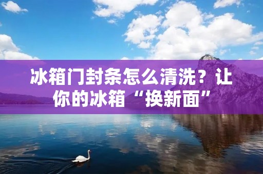 冰箱门封条怎么清洗?让你的冰箱“换新面” 冰箱门封条怎么清洗?让你的冰箱“换新面”