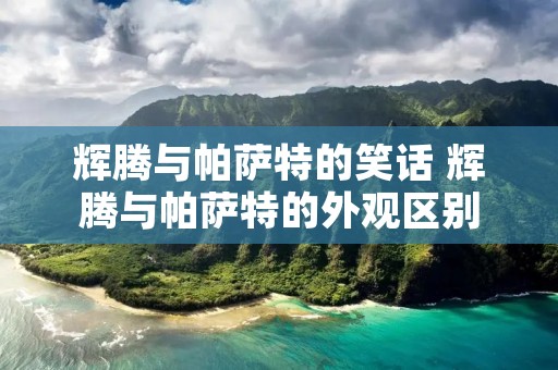 辉腾与帕萨特的笑话 辉腾与帕萨特的外观区别