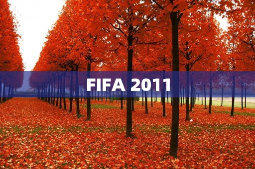 FIFA 2011：足球电竞的新时代