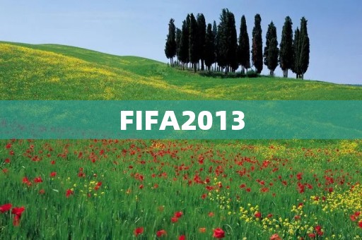 FIFA2013:足球游戏的新纪元 FIFA2013:足球游戏的新纪元