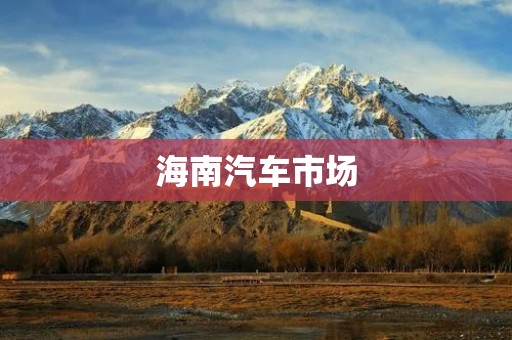 海南汽车市场：发展现状及前景展望
