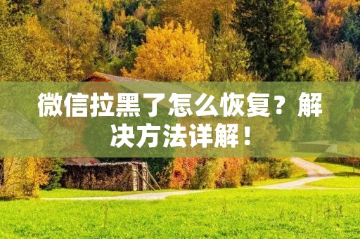 微信拉黑了怎么恢复？解决方法详解！