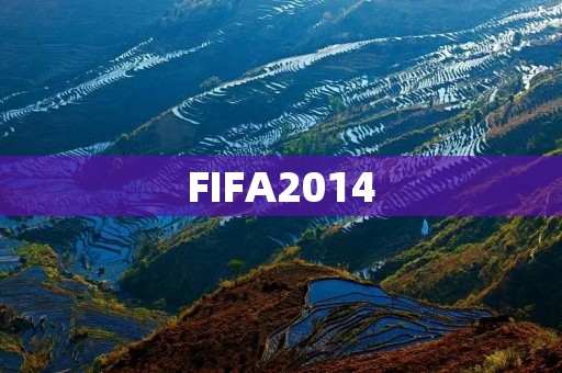 FIFA2014：让你感受真实的足球比赛体验