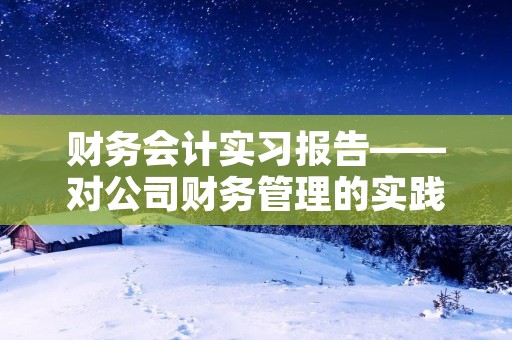 财务会计实习报告——对公司财务管理的实践与思考