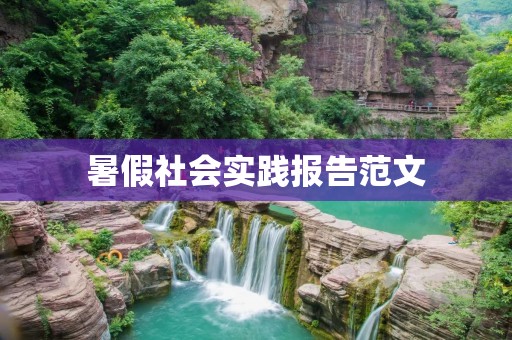 暑假社会实践报告范文:探究城市老年人生活状况