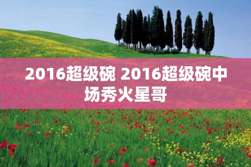 2016超级碗 2016超级碗中场秀火星哥