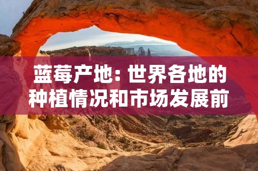 蓝莓产地: 世界各地的种植情况和市场发展前景
