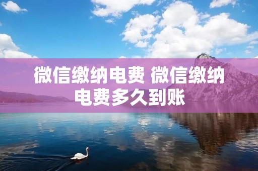 微信缴纳电费 微信缴纳电费多久到账