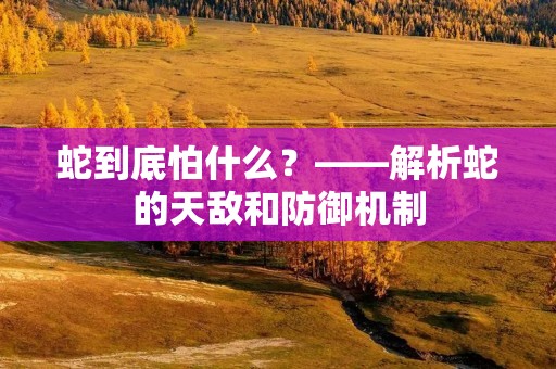 蛇到底怕什么?——解析蛇的天敌和防御机制