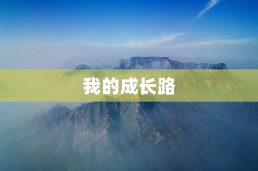 我的成长路