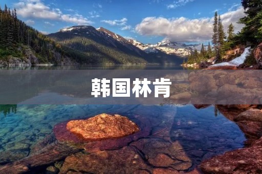 韩国林肯:独具匠心的手工皮具品牌 韩国林肯:独具匠心的手工皮具品牌