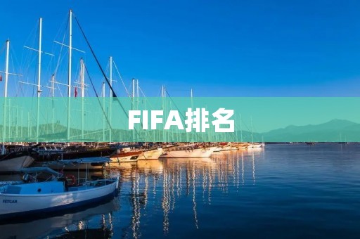FIFA排名：足球世界的排名标杆