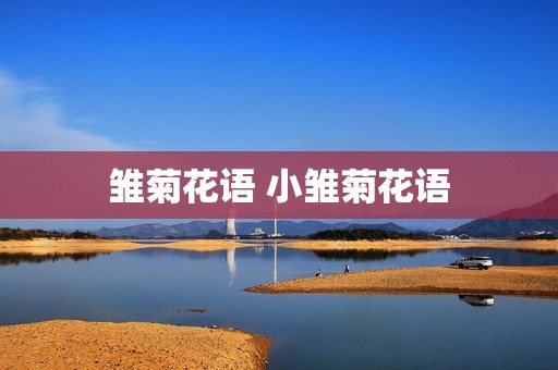 雏菊花语 小雏菊花语
