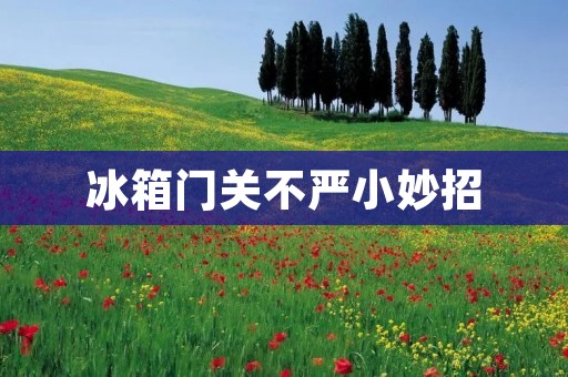 冰箱门关不严小妙招：让您的食物保鲜更长久