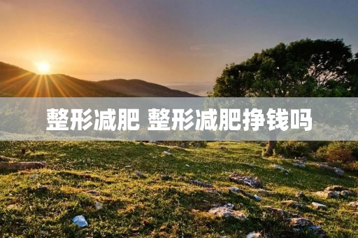 整形减肥 整形减肥挣钱吗 整形减肥 整形减肥挣钱吗