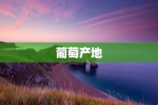 葡萄产地:探寻葡萄背后的故事