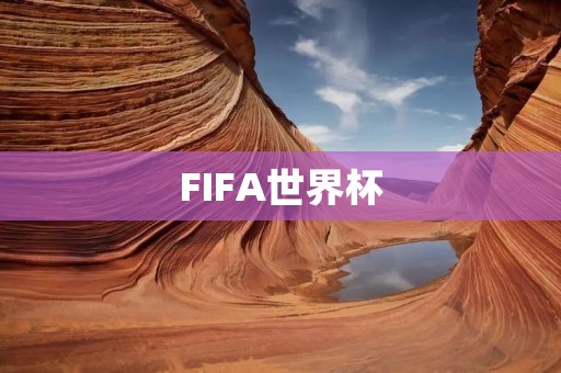 FIFA世界杯：历史、规则、背景和影响