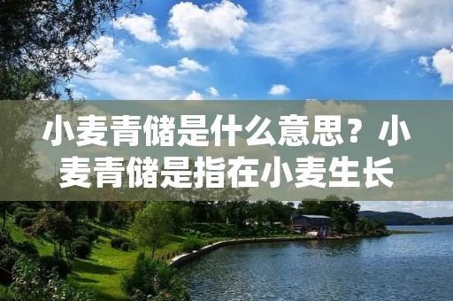 小麦青储是什么意思?小麦青储是指在小麦生长期间,通过一系列的管理措施,使小麦在收获前达到一定的生长阶段,保持草绿色,保证小麦的品质和产量,同时避免小麦在成熟期过早变黄或变褐,从而影响小麦的产量和品质。