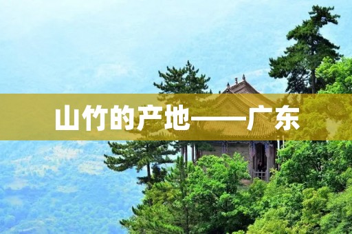 山竹的产地——广东