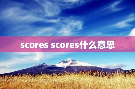 scores scores什么意思
