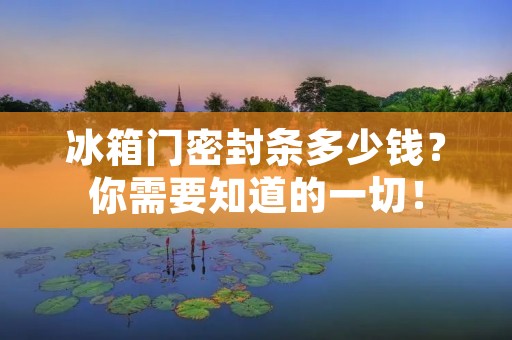 冰箱门密封条多少钱？你需要知道的一切！