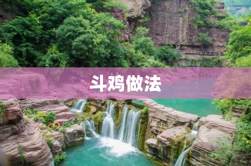 斗鸡做法:用心照顾你的战斗伙伴 斗鸡做法:用心照顾你的战斗伙伴