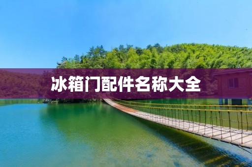 冰箱门配件名称大全：门把手、门铰链、门密封条、门轮、门锁、门限位器、门拉手、门弹簧、门挡板、门止推器、门密封胶条、门电子锁、门铰链轴。