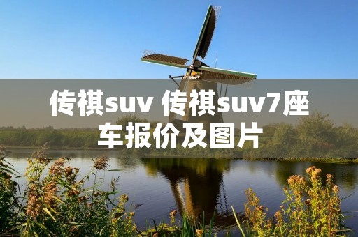 传祺suv 传祺suv7座车报价及图片
