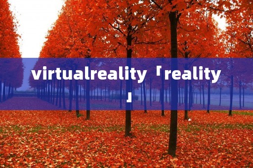 virtualreality「reality」