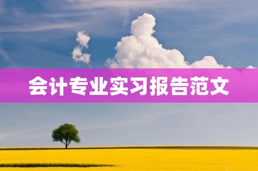 会计专业实习报告范文