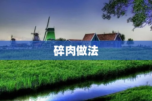 碎肉做法：多样化口感，满足你的味蕾