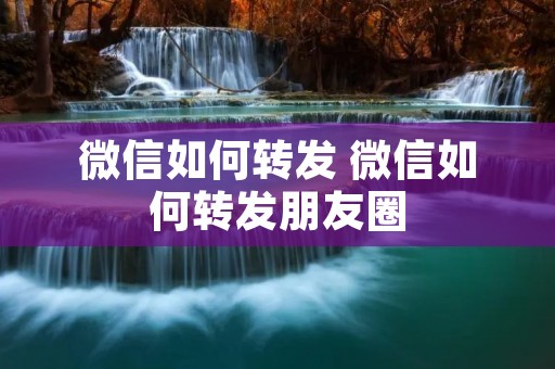 微信如何转发 微信如何转发朋友圈