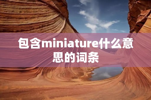 包含miniature什么意思的词条