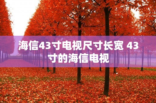 海信43寸电视尺寸长宽 43寸的海信电视