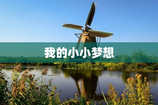 我的小小梦想 我的小小梦想
