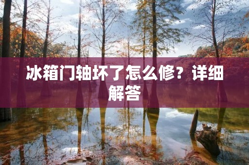 冰箱门轴坏了怎么修？详细解答