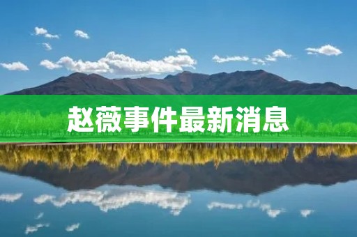赵薇事件最新消息:被曝涉嫌偷税漏税