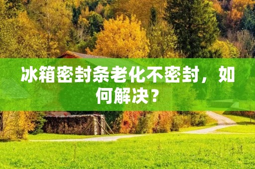 冰箱密封条老化不密封，如何解决？