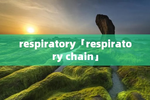 respiratory「respiratory chain」 respiratory「respiratory chain」